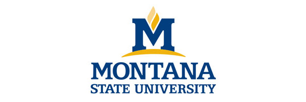 Montana State University